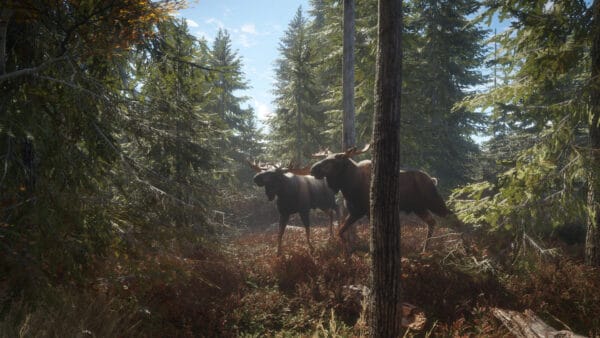 猎人：荒野的召唤/theHunter: Call of the Wild - 图片 2