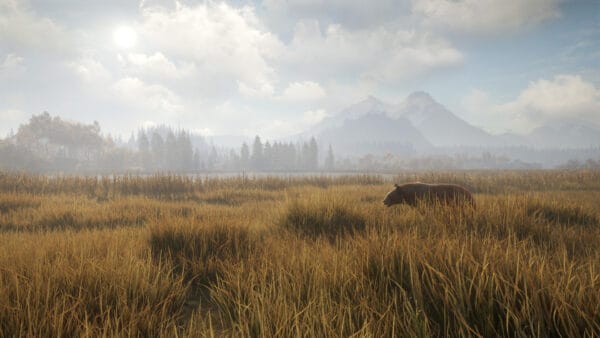 猎人：荒野的召唤/theHunter: Call of the Wild - 图片 4