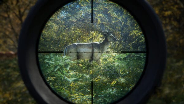猎人：荒野的召唤/theHunter: Call of the Wild - 图片 5